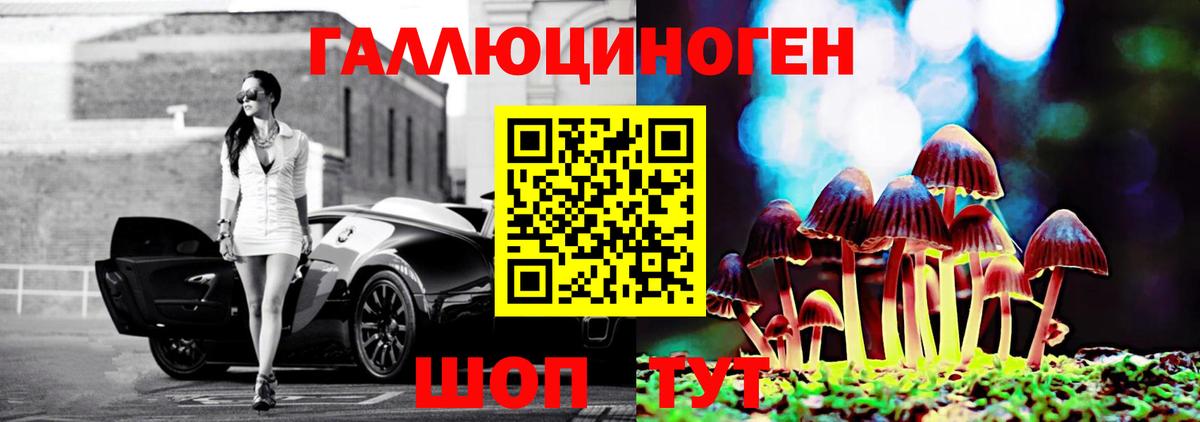 Псилоцибиновые грибы прущие грибы  Вход с VPN  Галлюциногенные грибы ЛСД  Аргун 